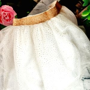 White & Gold Tulle Skirt